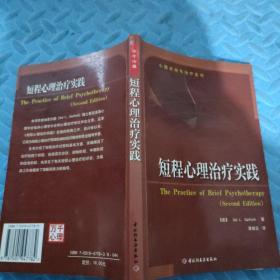 短程心理治疗实践