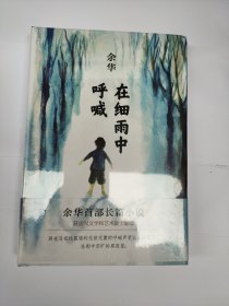 在细雨中呼喊（精装版）