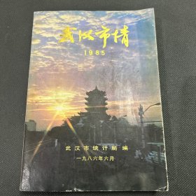 武汉市情1985