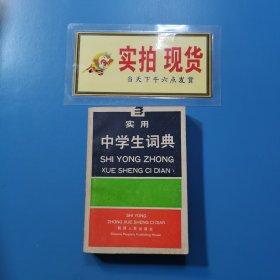 實(shí)用中學(xué)生詞典