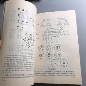 医学遗传学纲要