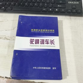 铁路职业技能培训规范 驼峰调车长