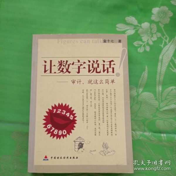 让数字说话：审计，就这么简单