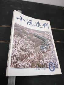 小说选刊2019年6