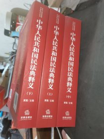 中华人民共和国民法典释义（上中下）