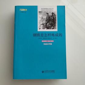 钢铁是怎样炼成的  权威点评本