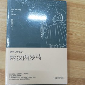 易中天中华史 第九卷：两汉两罗马