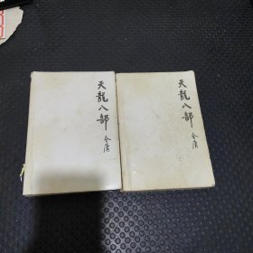 天龙八部【21.22.】