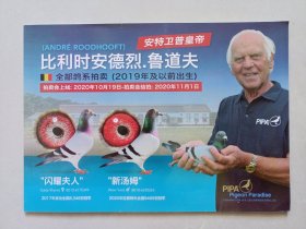 安特卫普皇帝 比利时 安德烈·鲁道夫 全部鸽系拍卖 2019年及以前出生 私藏品佳品如图(本店不使用小快递 只用中通快递)