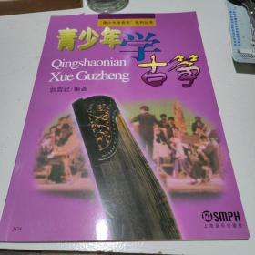 “青少年学音乐”系列丛书：青少年学古筝