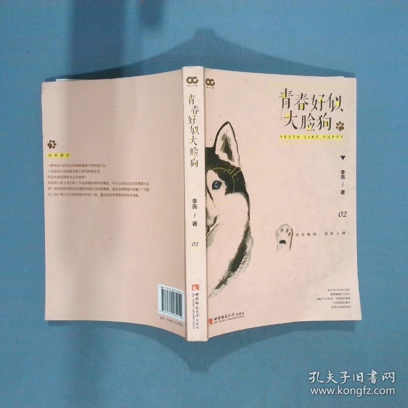 青春好似大脸狗 2  李亮 西南师范大学出版社