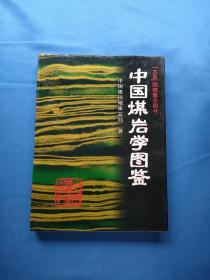 中国煤岩学图鉴 16开精装