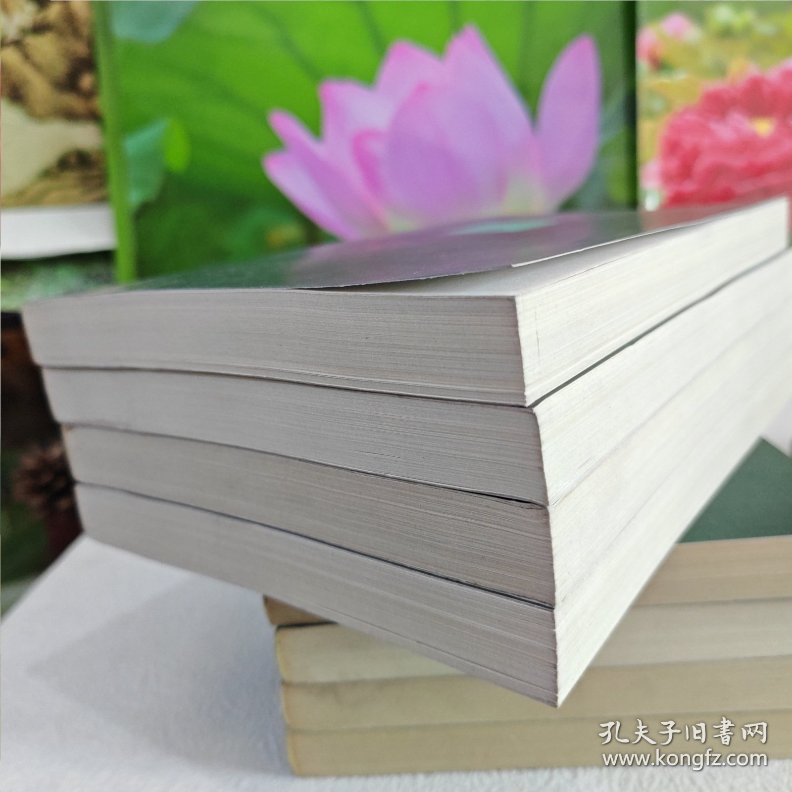 简体字本二十六史《宋书》全四册（卷31-34）