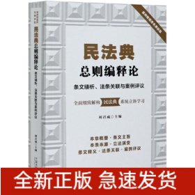 民法典總則編釋論 條文縷析、法條關(guān)聯(lián)與案例評(píng)議