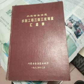 内蒙古自治区水利工程三查三定调查汇总表