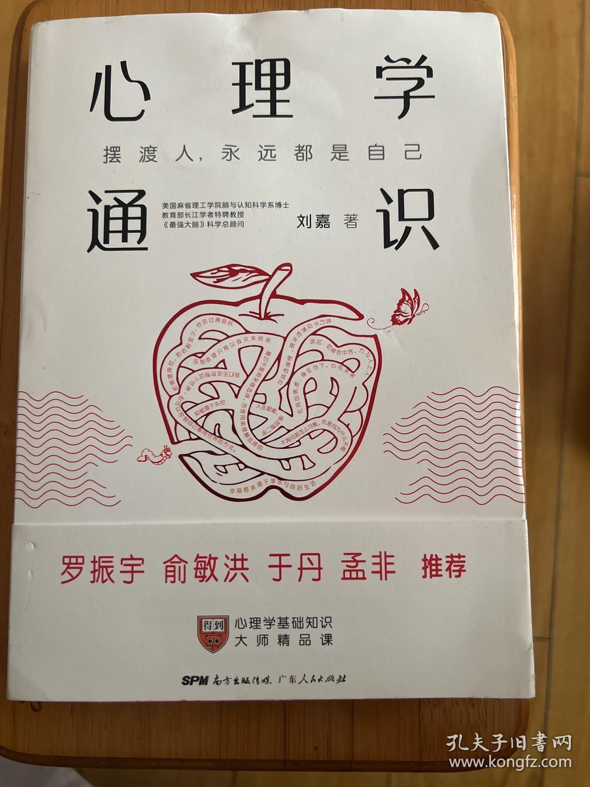 心理学通识：摆渡人永远都是自己（刘嘉心理学基础30讲，《最强大脑》科学判官、北大教授魏坤琳推荐，得到APP超过10万人都在学）