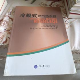 冷凝式燃气热水器