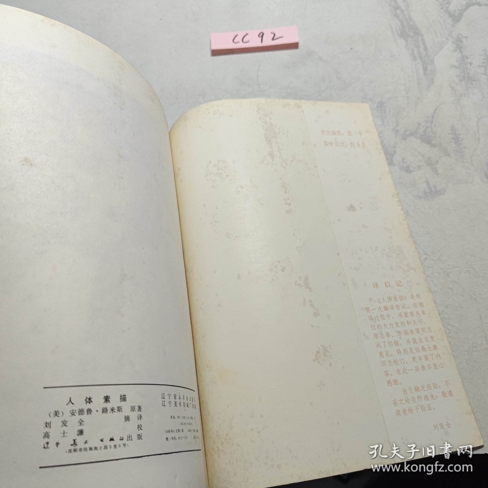 人体素描