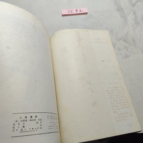 人体素描