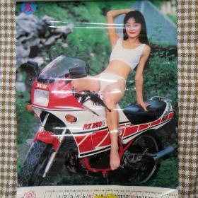 挂历1994年 美女泳装摩托挂历，发发发     13张全 塑膜