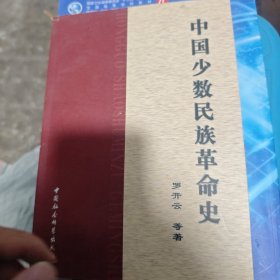 中国少数民族革命史