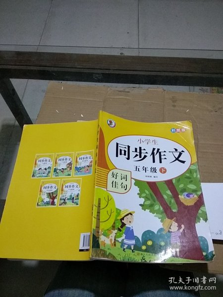 小学生同步作文五年级下 好词佳句。