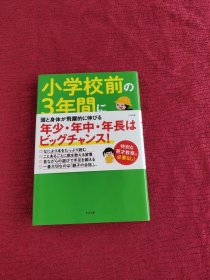 小学校前の3年间にできること、してあげたいこと 日文原版-《小学前三年可以做和想做的事情》