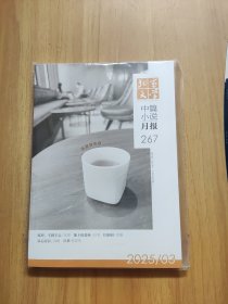 北京文学 中篇小说月报 2025年第3期