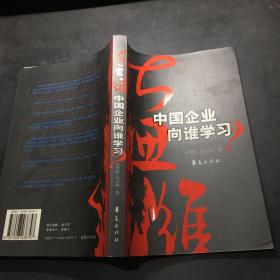 大思维：中国企业向谁学习