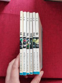 五彩缤纷七龙珠：龙珠：17.29.31.34.39.40（6本合售）