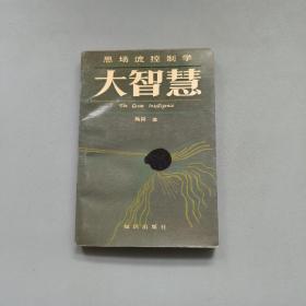 大智慧:思场流控制学