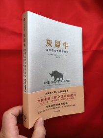 灰犀牛——如何应对大概率危机 【小16开】