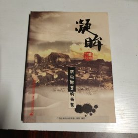 凝眸 新闻眼里的南医（广西壮族自治区南溪山医院文化建设系列丛书）