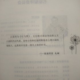 红与黑 中小学生课外阅读书籍世界经典文学名著青少年儿童文学读物故事书名家名译原汁原味读原著