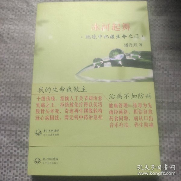 冰河起舞：绝境中把握生命之门