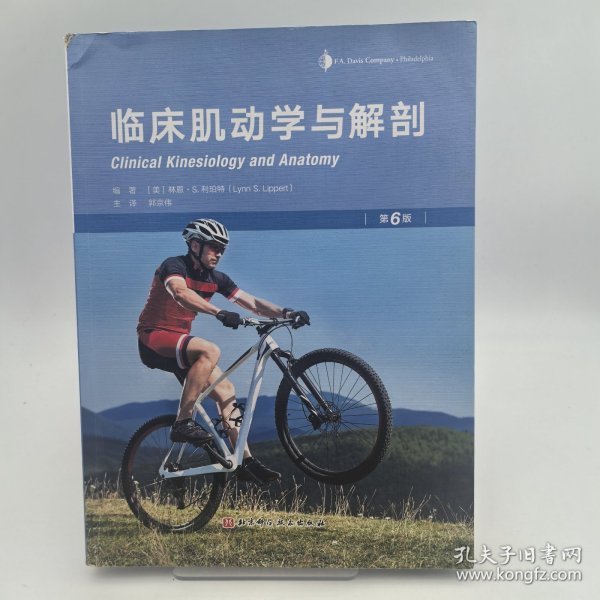 临床肌动学与解剖