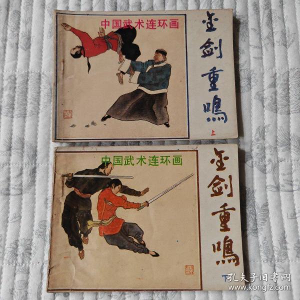 金剑重鸣 上下册全（中国武术连环画，缺本）9品