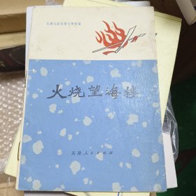 火烧望海楼 小册子