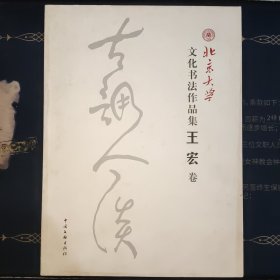 北京大学文化书法作品集王宏卷