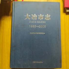 大冶市志 : 1985～2005