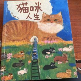 猫咪人生