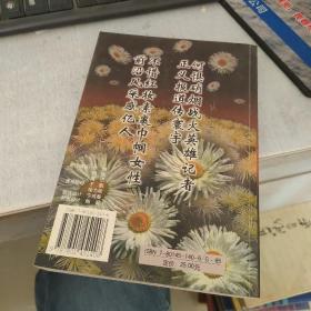 未写完的战地日记-英雄伴侣许杏虎朱颖殉难前后