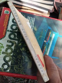 历代抒情小赋选