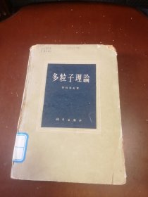 多粒子理论（馆藏图书）