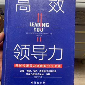 高效领导力（新时代领导力突破的15个关键）