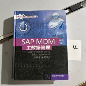 SAP MDM 主数据管理