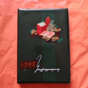 日记本 笔记本 永放光芒 精装正版，实拍图片，品相自定，品相嘎嘎新，品相如图所示