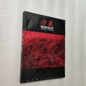 沙飞纪念集