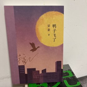 鸭子飞了90后新锐作家梁豪自选集，京东印签定制版，年轮典存丛书