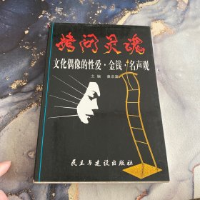 拷问灵魂:文化偶像的性爱、金钱、名声观